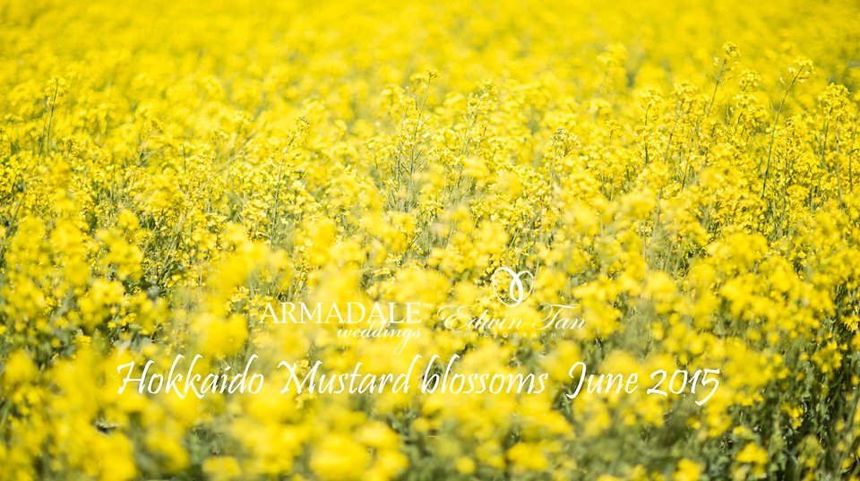 et20130328_3511 et20130328_3511