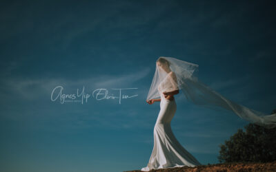 Malaysia Prewedding Brid