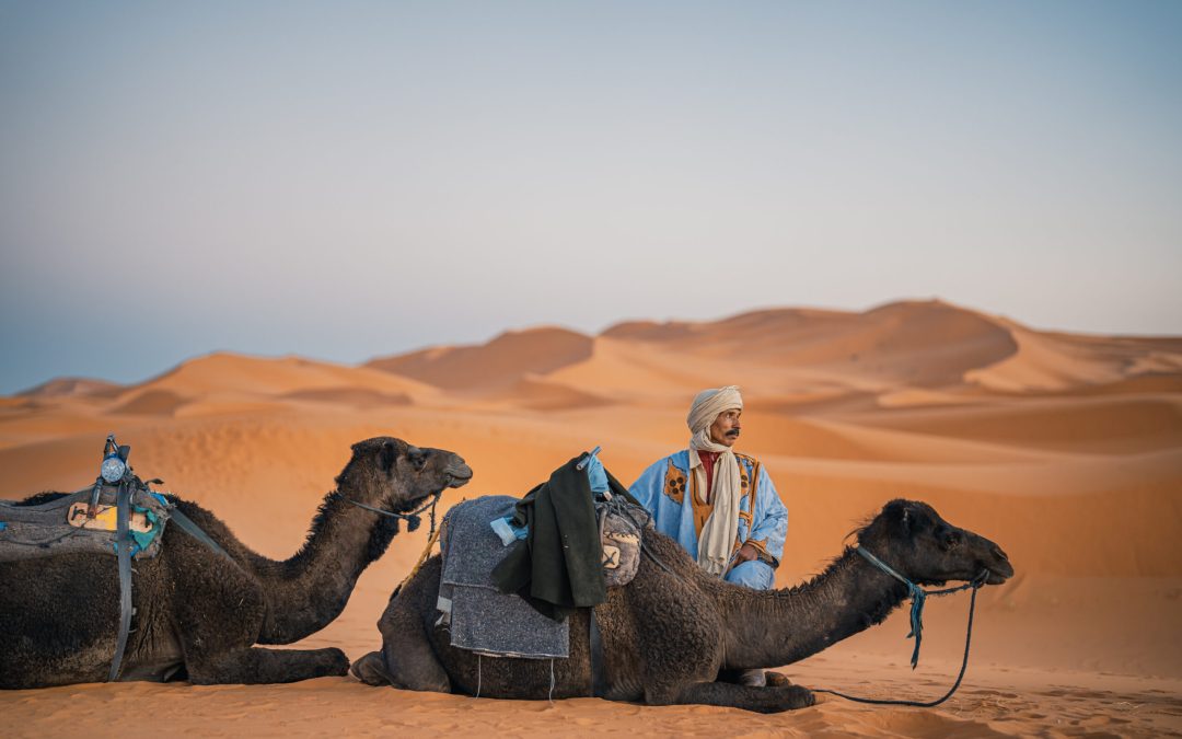 Camel Driver Sahara Desert